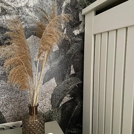 Best Downtown Apartman Lägenhet Budapest